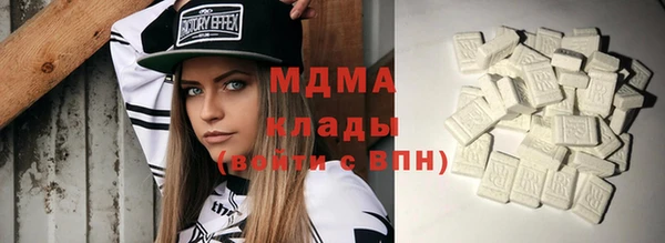 индика Володарск