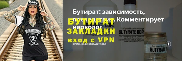 индика Володарск