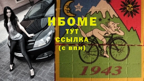 индика Володарск