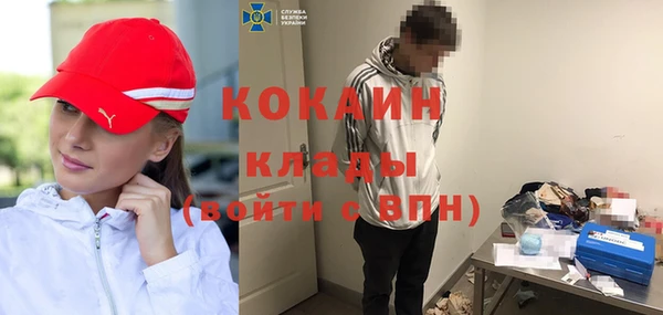 индика Володарск