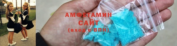 индика Володарск