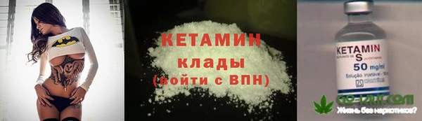 индика Володарск