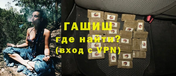индика Володарск