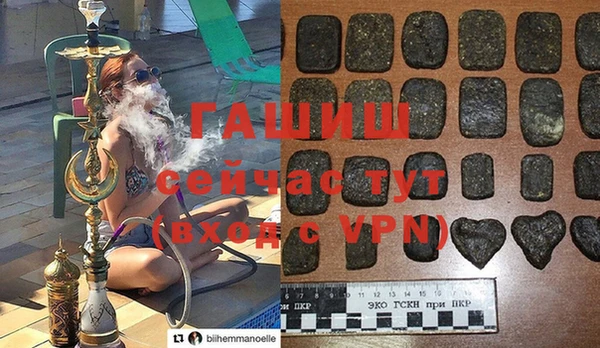 индика Володарск